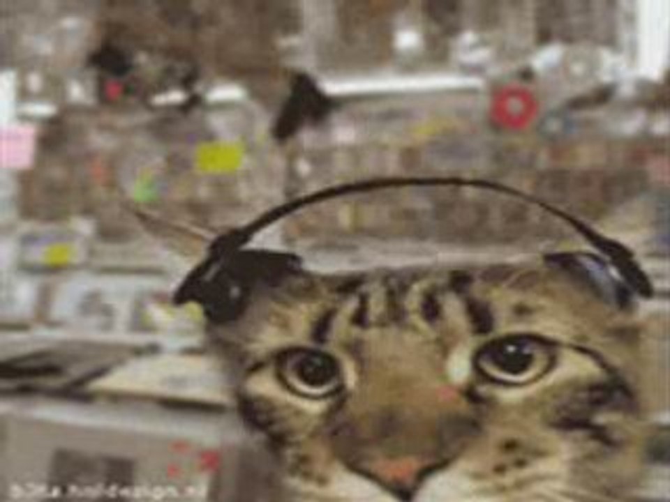Chat techno