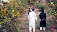Zanjeerain Episode 15
