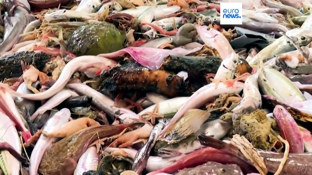 Pescatori francesi si riuniscono a Cherbourg preoccupati per i prezzi del carburante