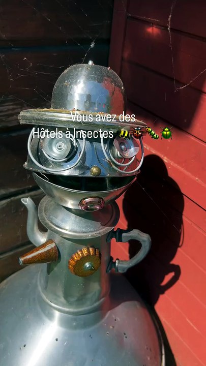 Vous avez des Hôtels à Insectes ? 🐝🐞🐛.mp4