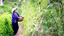 Tập 4 - Nợ Đời Vay Trả (THVL)_DV Nguyễn Quốc Trưởng Thịnh, Huỳnh Hồng Loan, Dương Cẩm Lynh, Thanh Bình