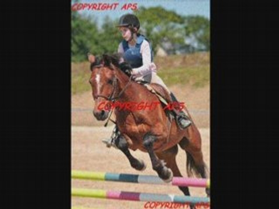 Chevaux et moi