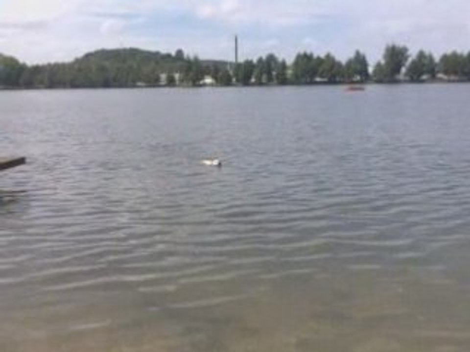 22/06/2008 comme un poisson dans l'eau