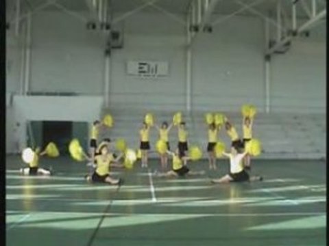 Les pompoms des Mines de Nantes