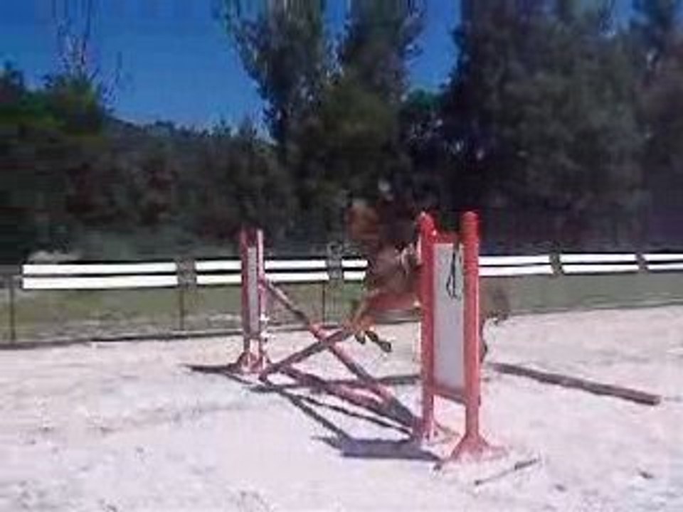 MOi ET ARDELF AU SAUT LE 23.06