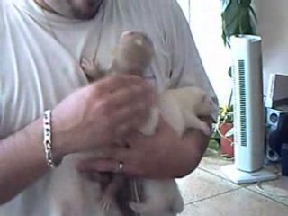 CLIP0016
