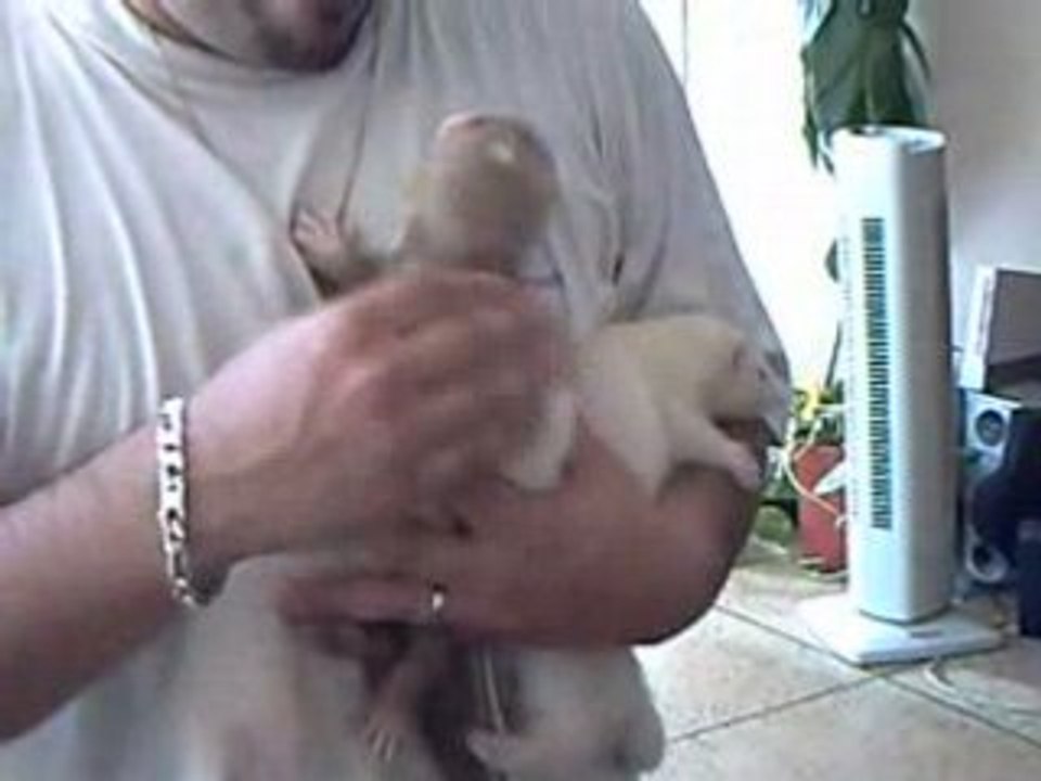 CLIP0016