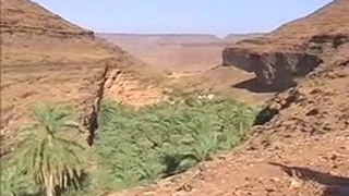Oasis de Tergit Mauritanie