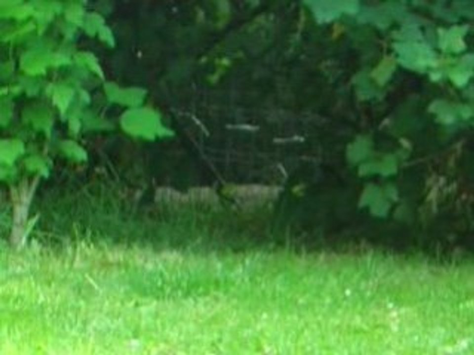 Sortie Mistinguette 2