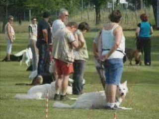 CHADO CHLOE  CHUCKY  AU CLUB