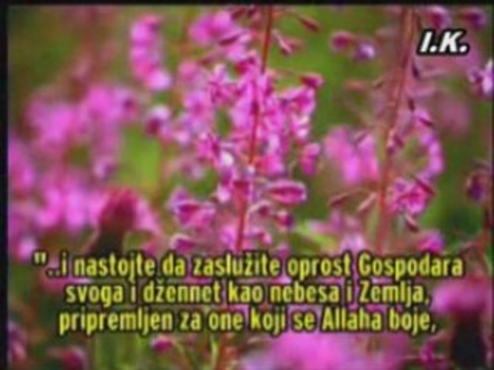 Dzennet ilii dzehennem