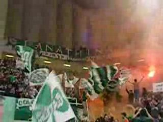 panathinaikos gate 13 ultras basketball