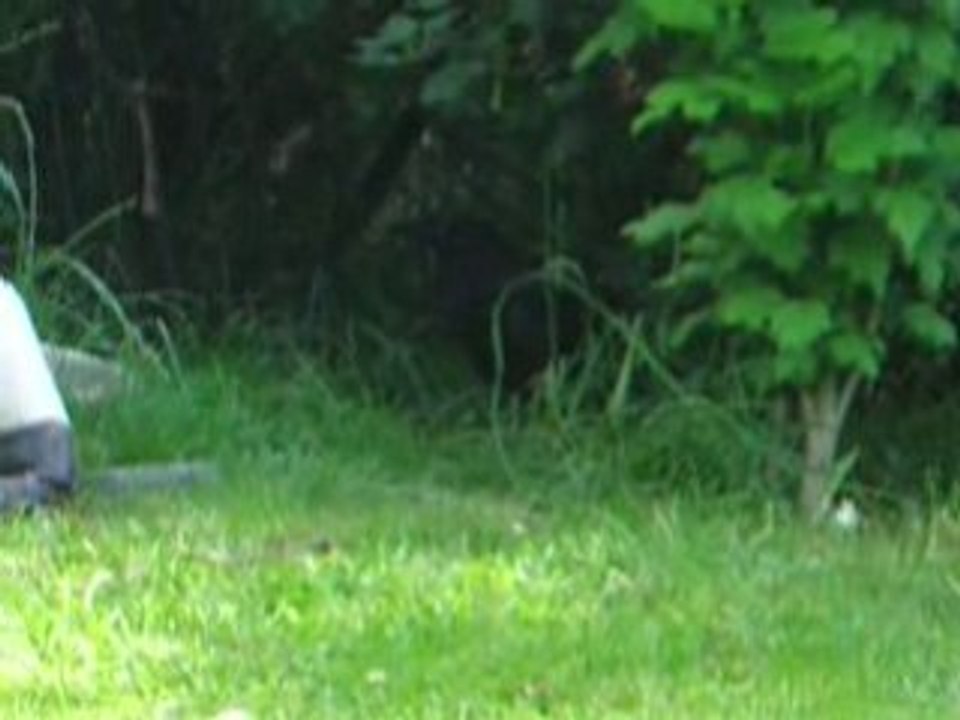 Mistinguette sortie 3