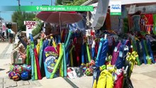 La amenaza de "la bacteria carnívora" cabalga por las playas europeas, a lomos del cambio climático