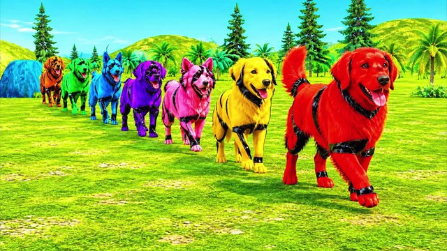 Husky vs German Shepherd vs Bulldog Fountain Crossing Challenge Paint Animals Cartoon Dogs