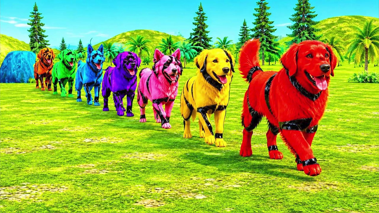 Husky vs German Shepherd vs Bulldog Fountain Crossing Challenge  Paint Animals Cartoon Dogs