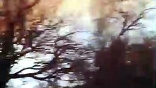 Incendios en Cafayate