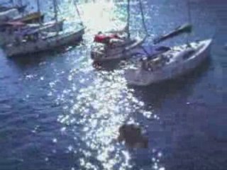 Plongeons Port d'alon,Cassis