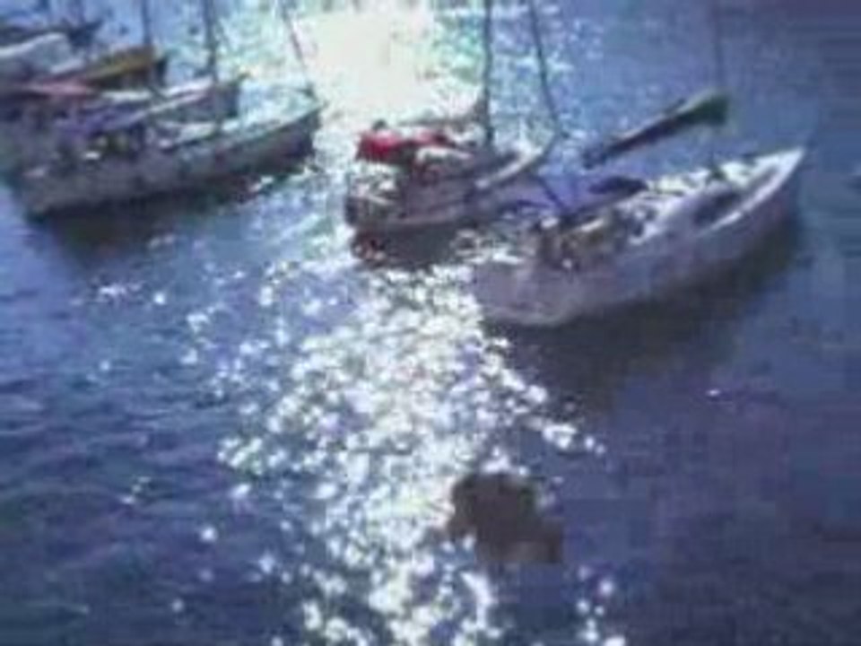 Plongeons Port d'alon,Cassis