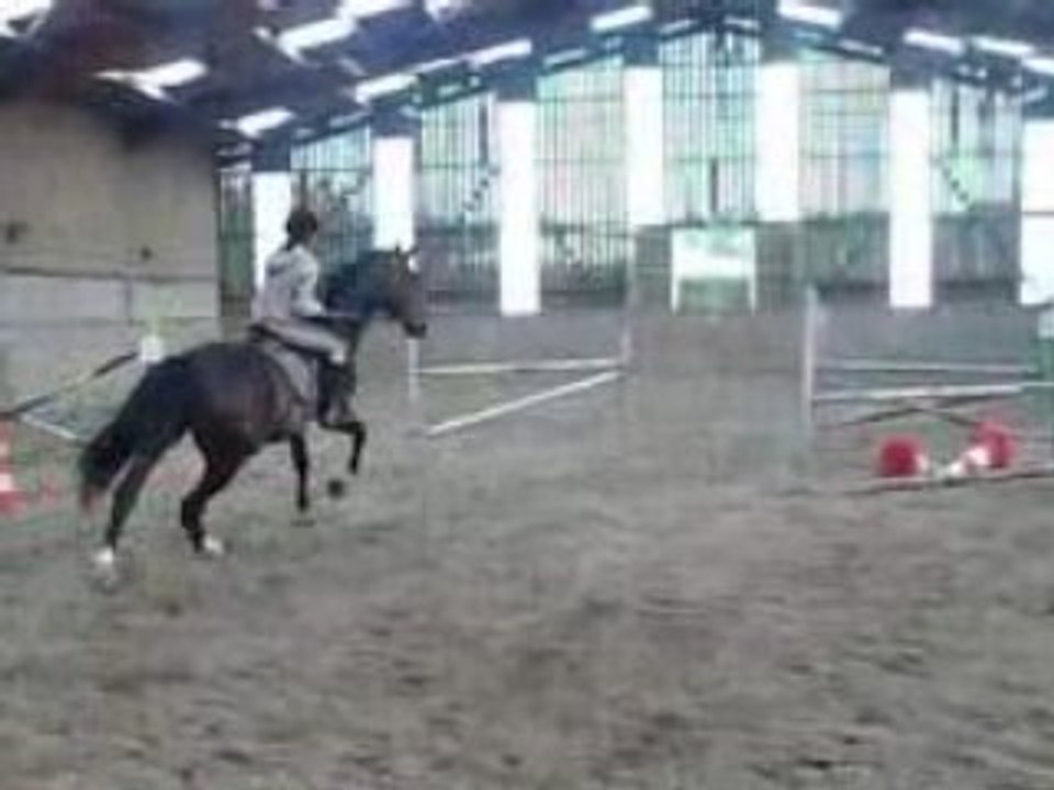 Paso et moi, dernier Concour.