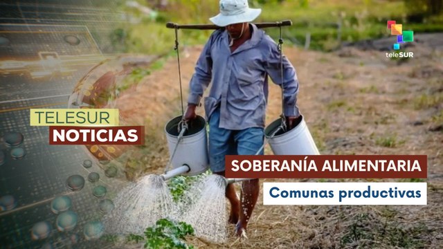 17 mil hectáreas en comunas contra el bloqueo y por la paz en Venezuela