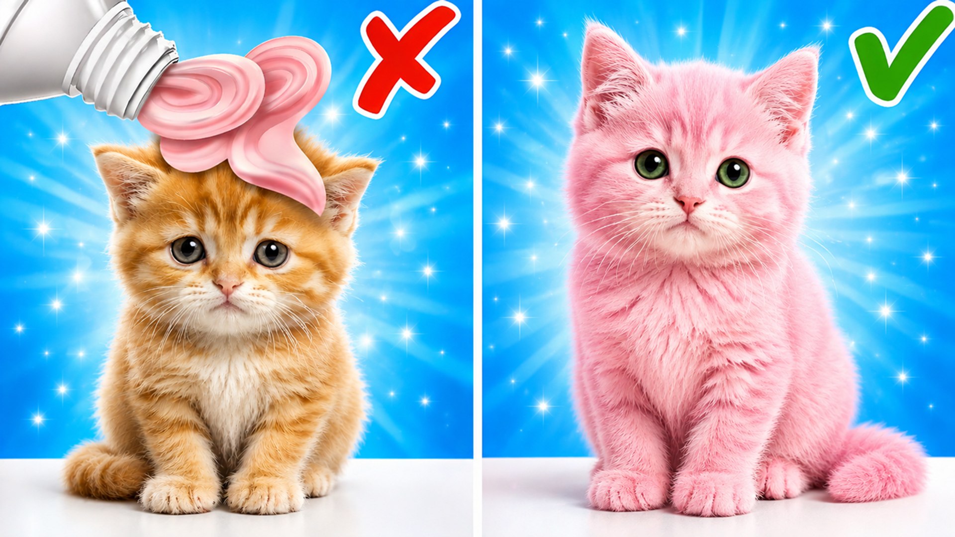 ⁣Cuddly Kitten Rescue Adventure! 🐾 Clever Tips and Tools for Pet Care