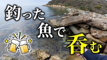 【穴釣り】釣ったカサゴ、想像以上だった！
