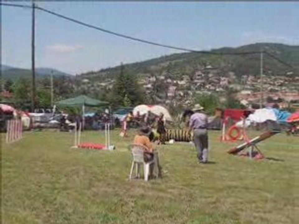 Biki 1er concours agility à annonay
