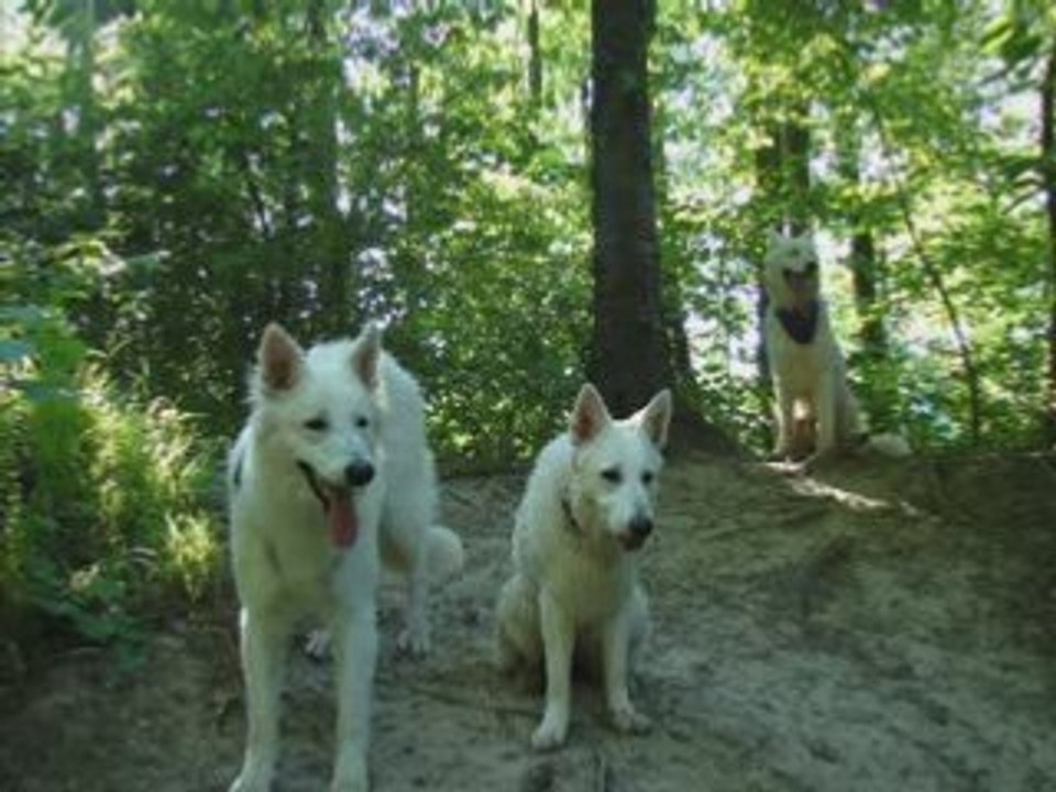 BALADE DU SOIR A LA BALASTIERE