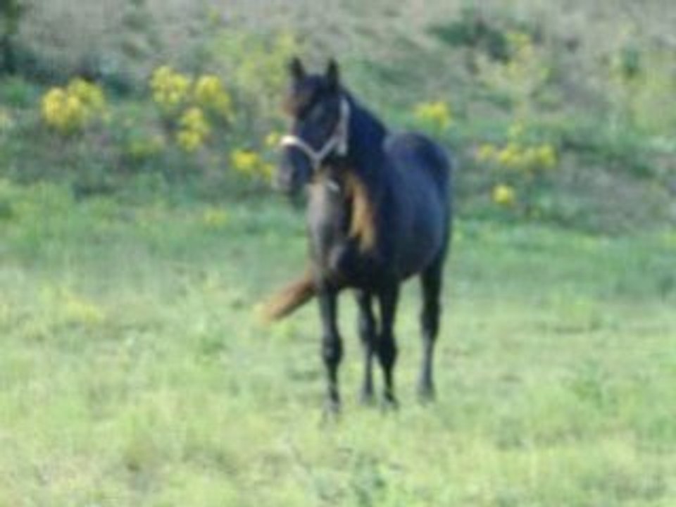 Sabine_a_la_maison 028