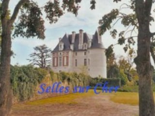 Chateaux de la Loire