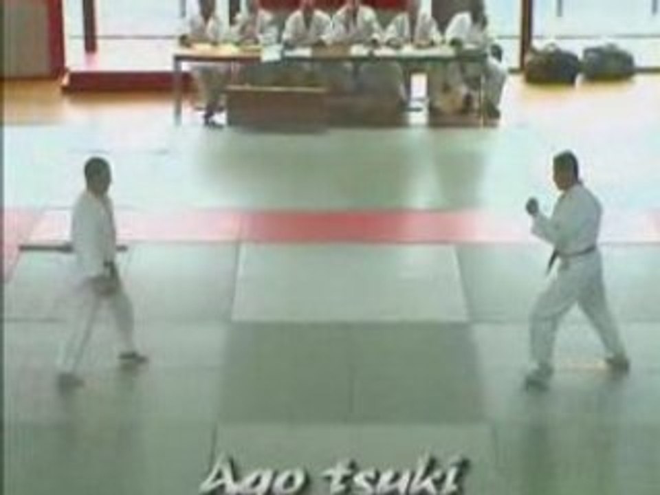 Goshin jitsu
