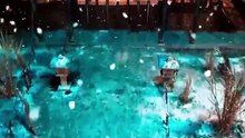 關於我和冤種姐妹穿書成錦鯉這件事_1 藺瑞雪 袁禕晴