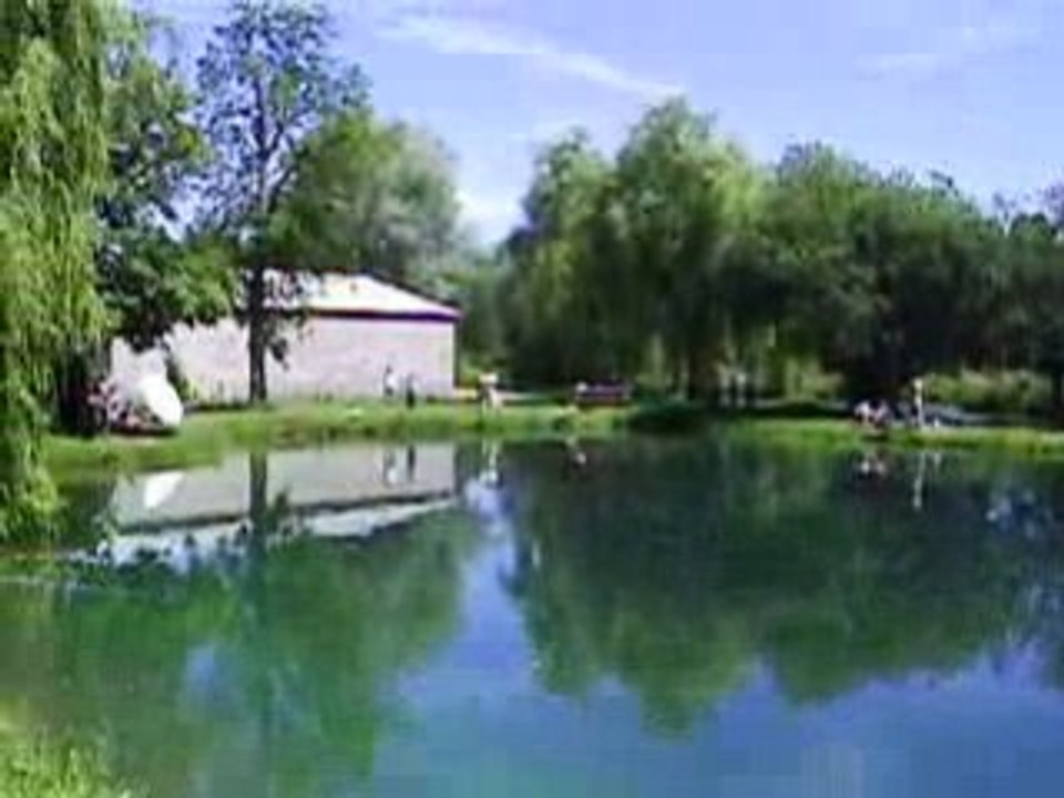 PIC_0717