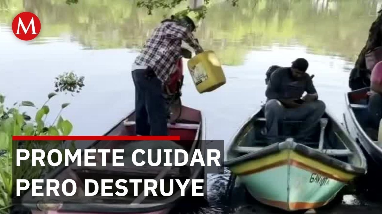 Desastre ambiental en Veracruz: vinaza tóxica de alcoholera mata miles de peces y deja sin sustento