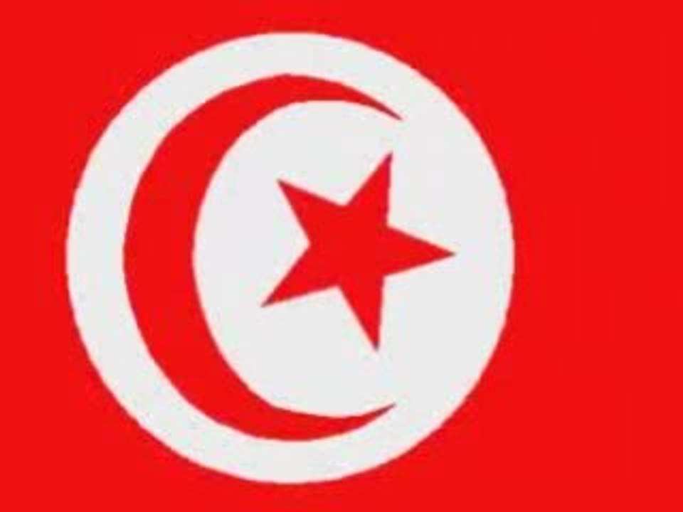 Mezoued2luxe 100% jaw