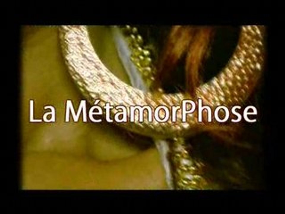 Spot Métamorphose / ANTILLES