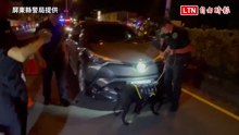 屏東警方端午節擴大取締毒駕 出動緝毒犬