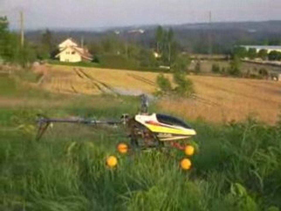 Vol3 T-REX 450 (20.06.08)