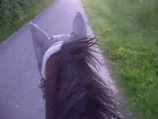 Héra et moi petite balade