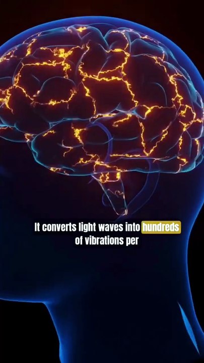 Hearing Colors_ The First Real Human Cyborg