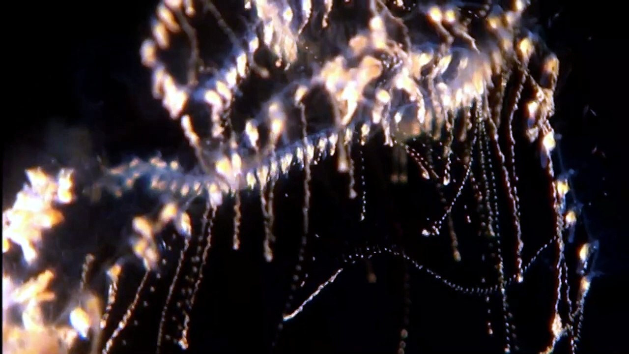 The Deep