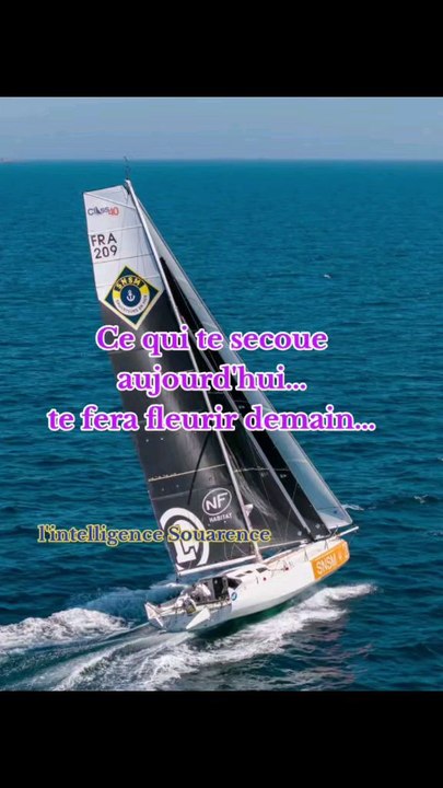Ce qui te secoueaujourd'hui... te fera fleurir demain...#lintelligencesouarence #reels #viralvideochallenge #inspiration #penseepositivedujour #motivation #viralreelschallenge #shortsreels #citationdujour #viralchallenge