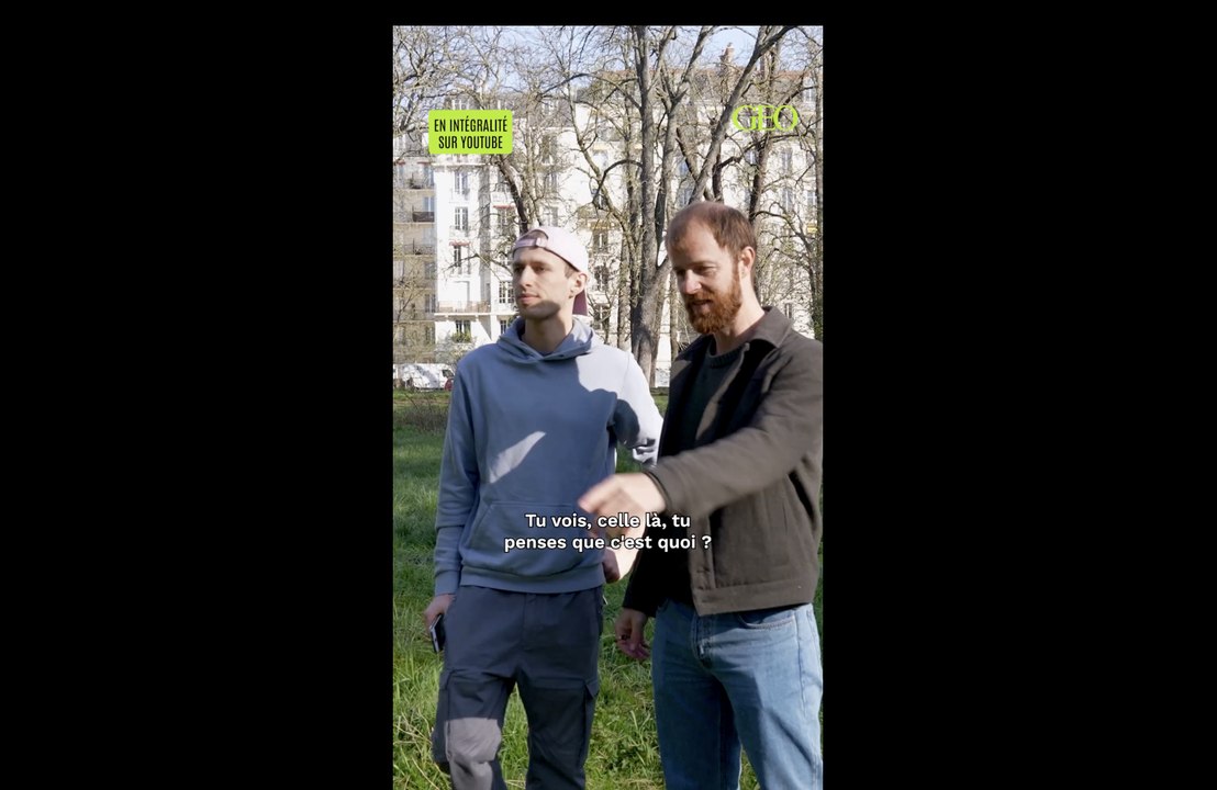 Cueillir le Lamier Blanc au Bois de Vincennes