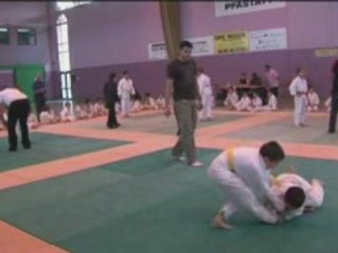 Judo Petits tigres combats