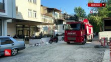 Erzincan'da karga ailesi yavrusu için kedilere ve insanlara meydan okudu