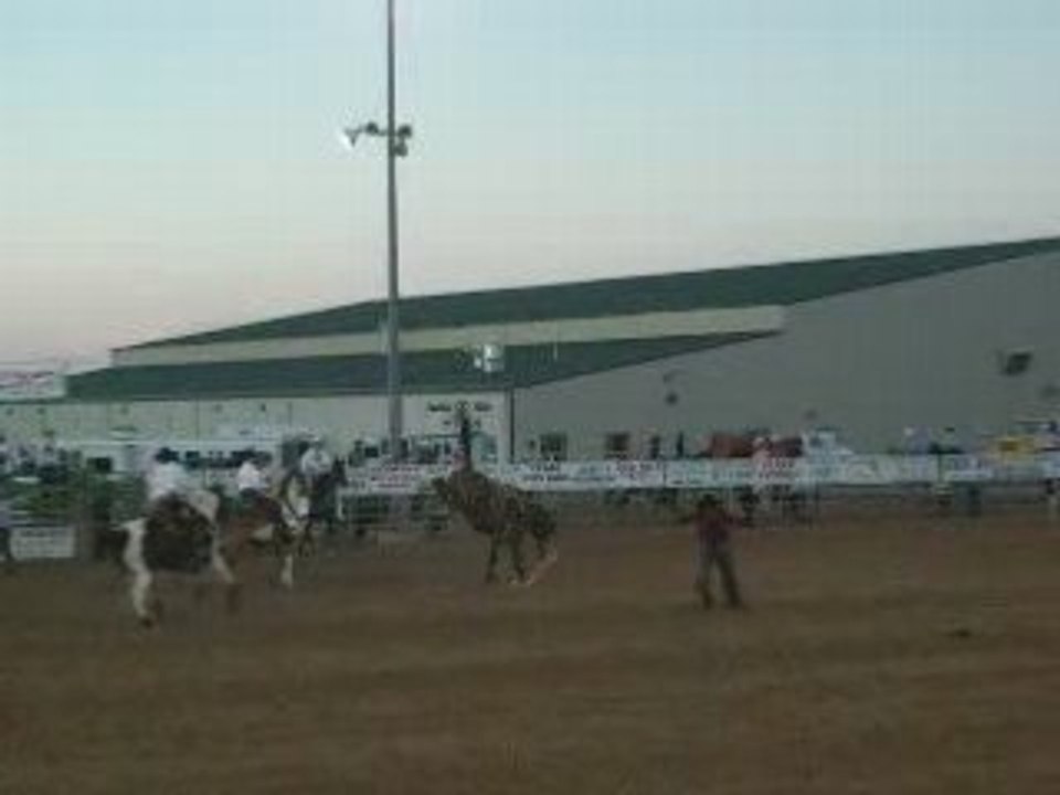 Rodeo cheval