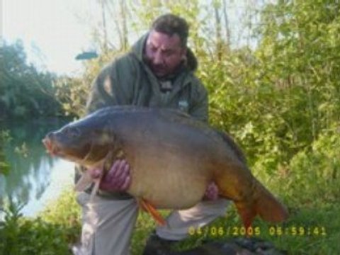 Une saison merveilleuse que du lourd en carpes