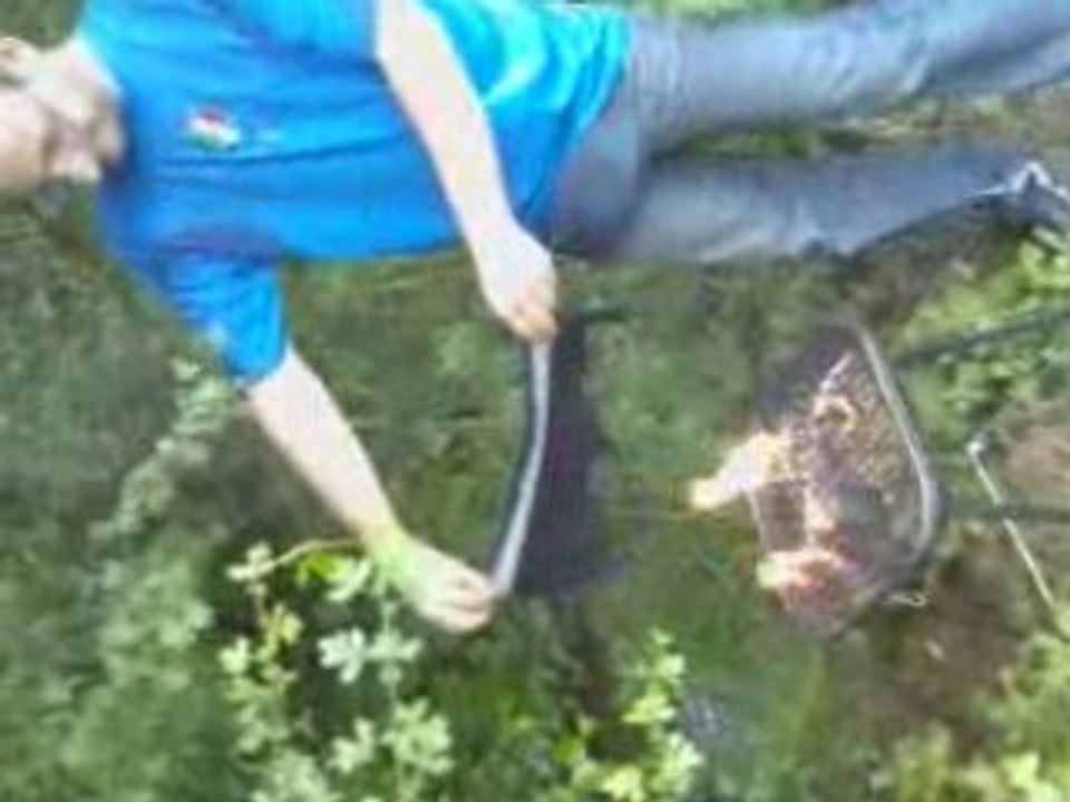 Vsechage de calecon