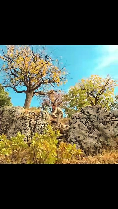 Building a Stone Shelter for Wilderness #building #shelter #survial #bushcraft #winter